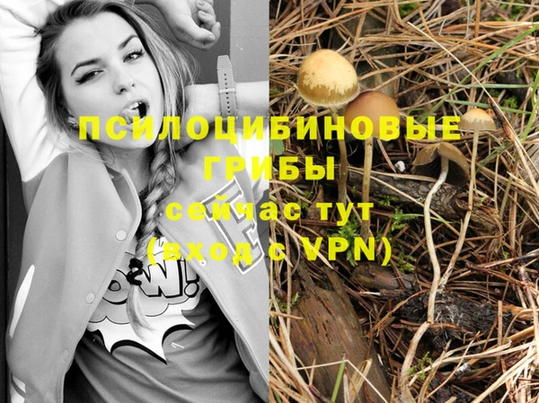 мяу мяу кристалл Михайлов
