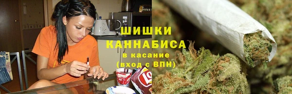 прущая мука Ельня