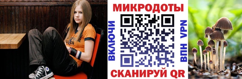 Псилоцибиновые грибы мицелий  купить  цена  Конаково 