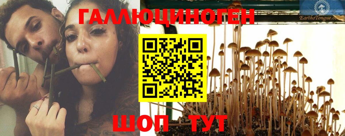 Псилоцибиновые грибы MAGIC MUSHROOMS Конаково