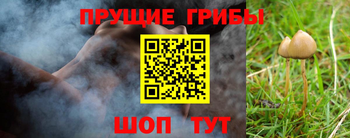 Псилоцибиновые грибы мухоморы Конаково